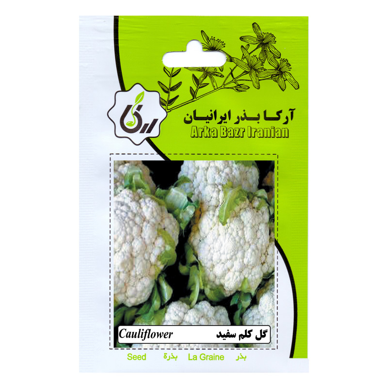 بذر گل کلم سفید آرکا بذر ایرانیان