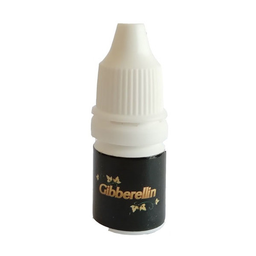 gibberellin