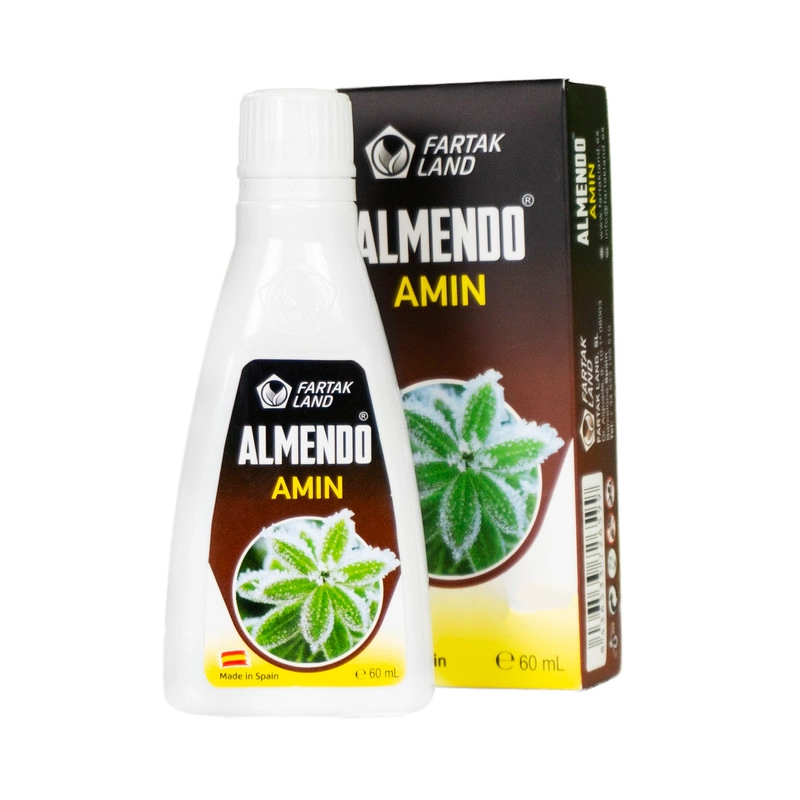 Almendo Amin