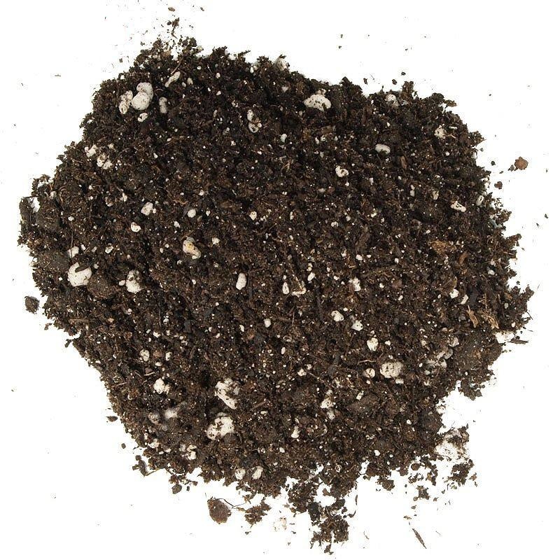 Gardening Soil Gilda