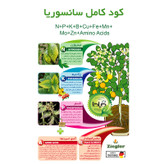 Sansvieria Gilda Fertilizer