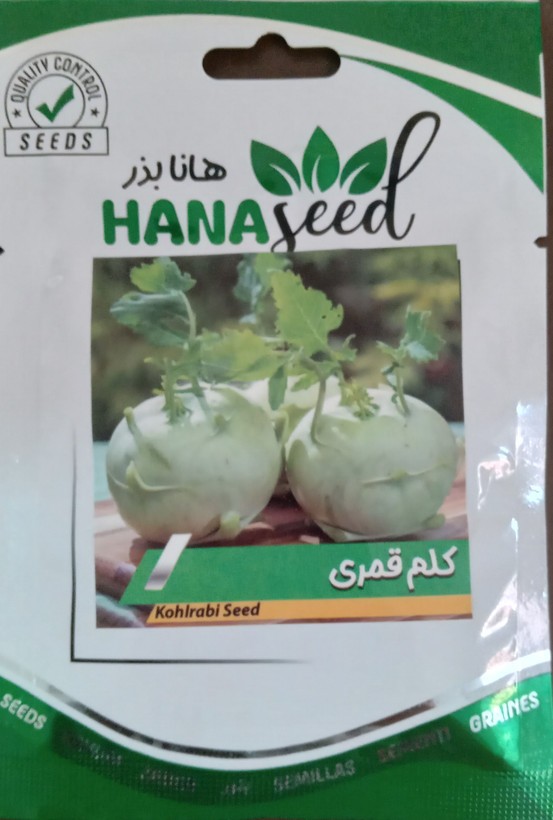 بذر کلم قمری هانابذر