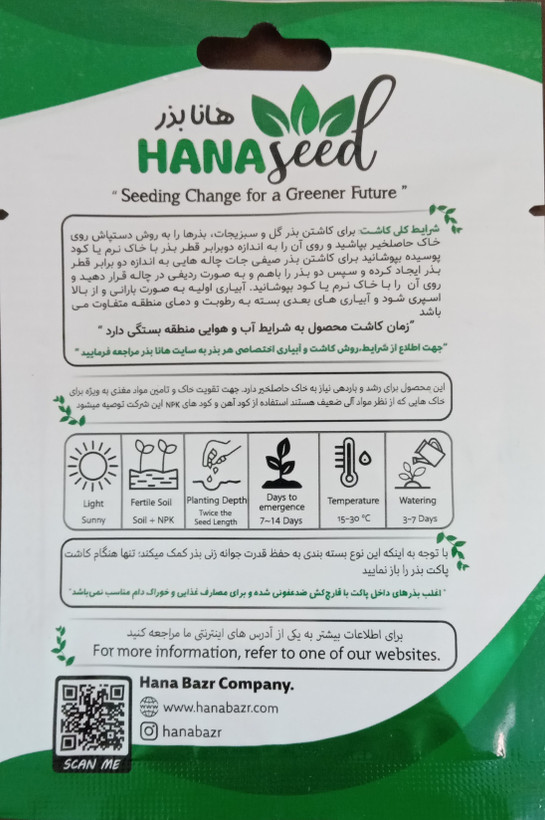 بذر کلم قمری هانابذر