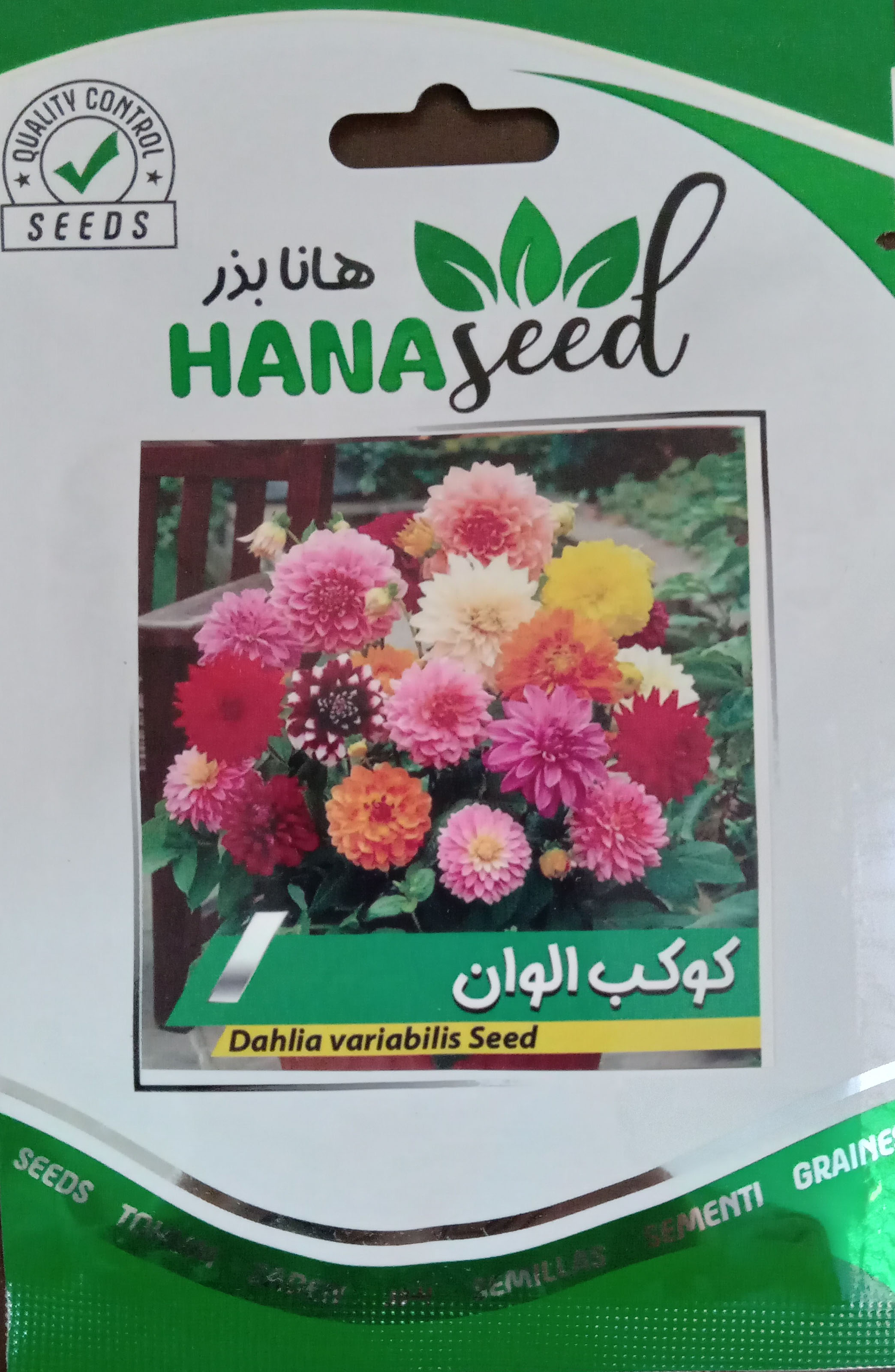 بذر کوکب هانابذر